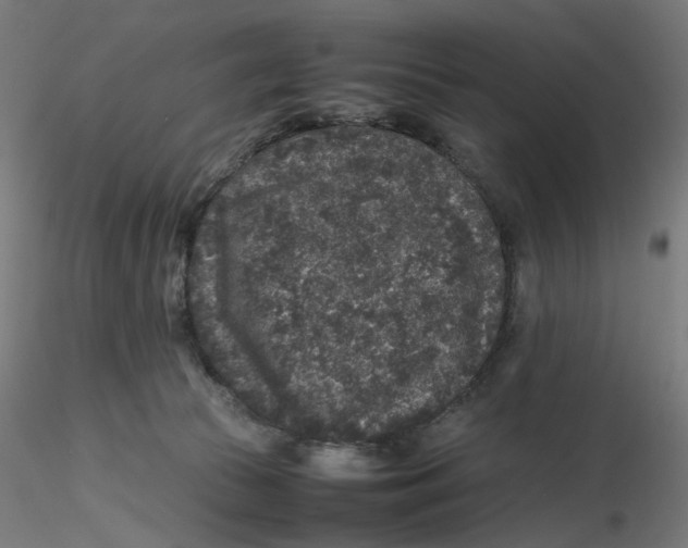 X0000116100177200912211619