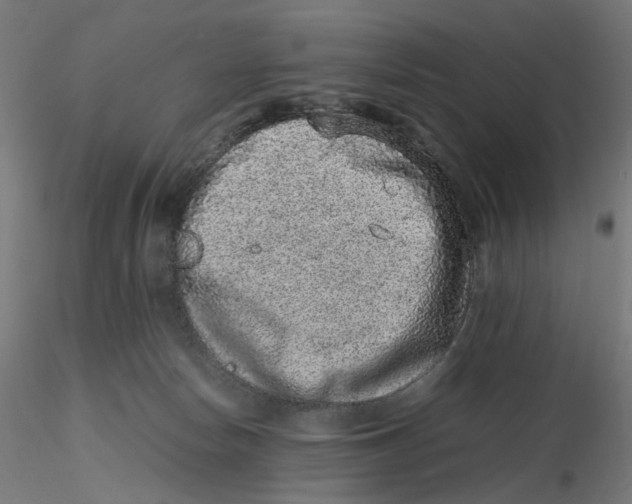 X0000116100178200912211619