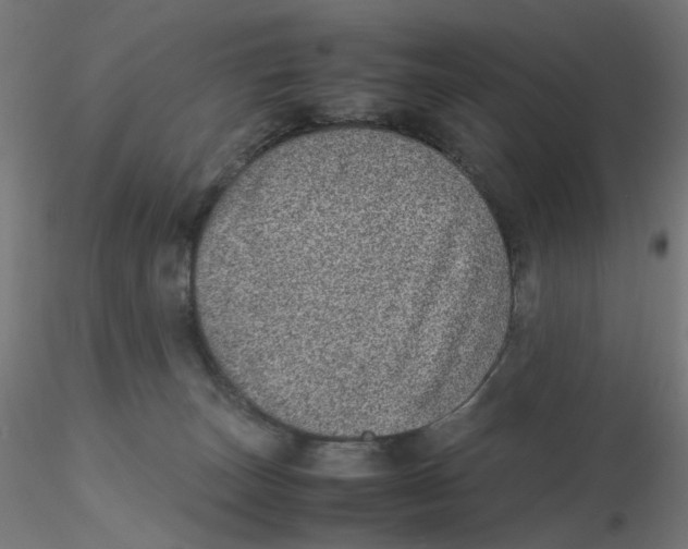 X0000116100179200912211619