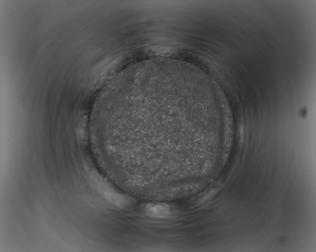 X0000116100181200912211619