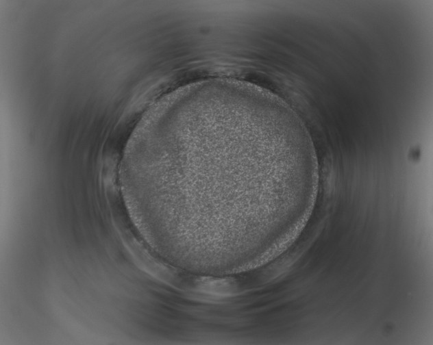 X0000116100185200912211619