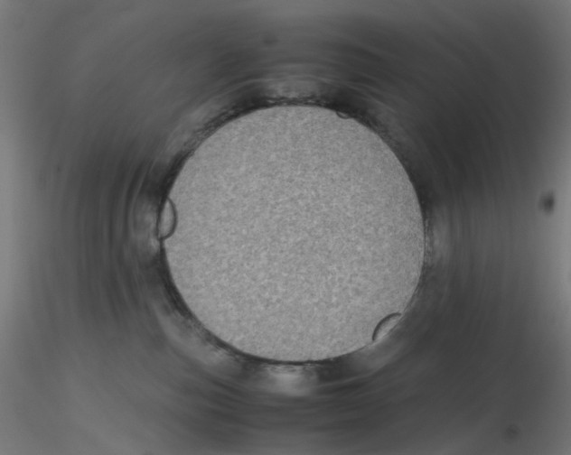 X0000116100187200912211619