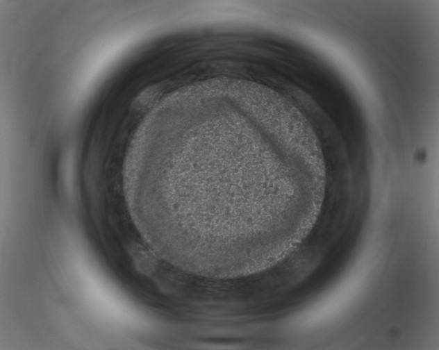 X0000116100189200912211619