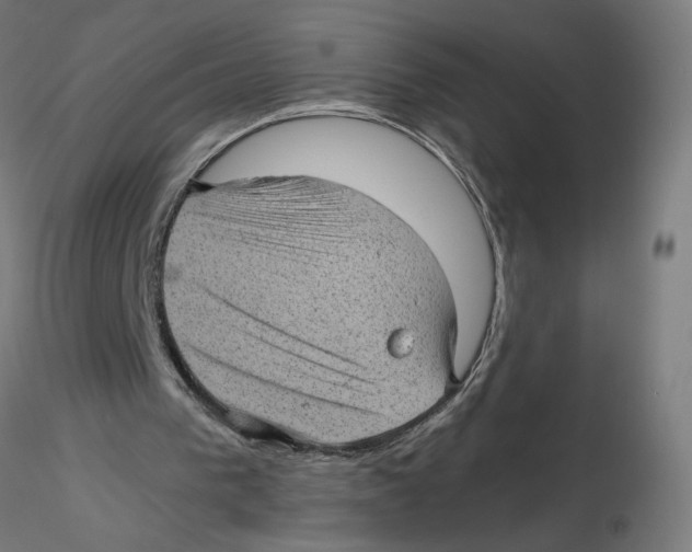 X0000116100193200912211618