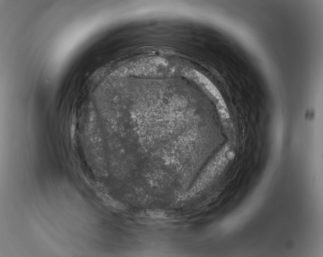 X0000116100194200912211618