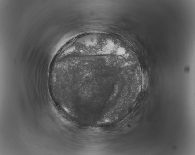 X0000116100195200912211618