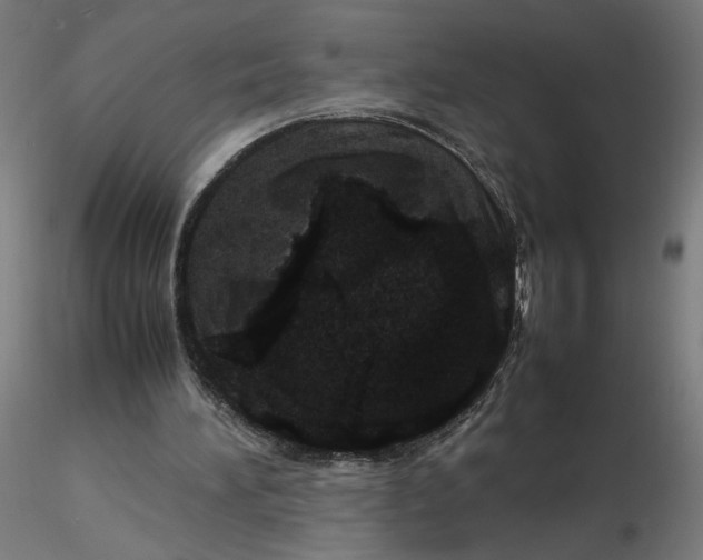 X0000116100196200912211618