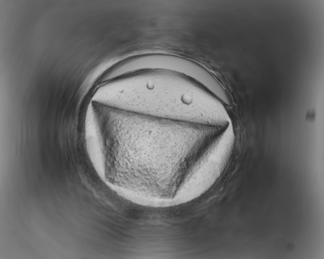 X0000116100200200912211618