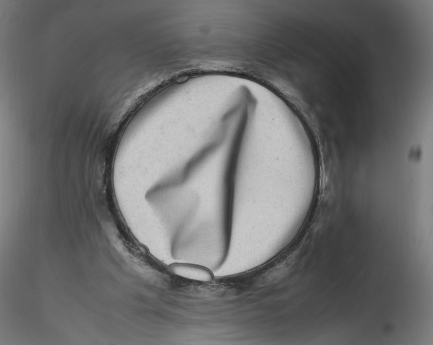 X0000116100201200912211618