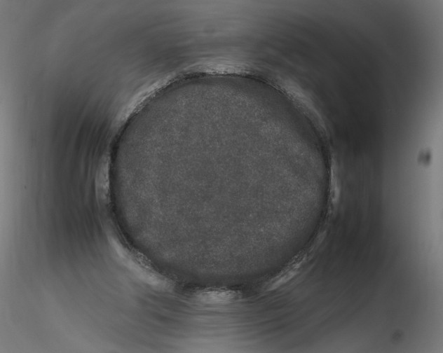 X0000116100202200912211618