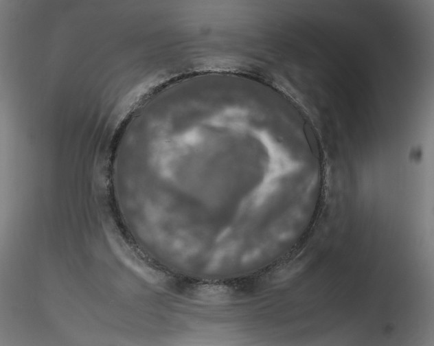 X0000116100203200912211618