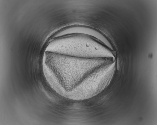 X0000116100204200912211618