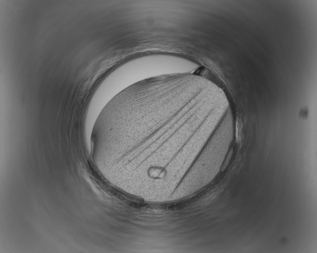 X0000116100205200912211618