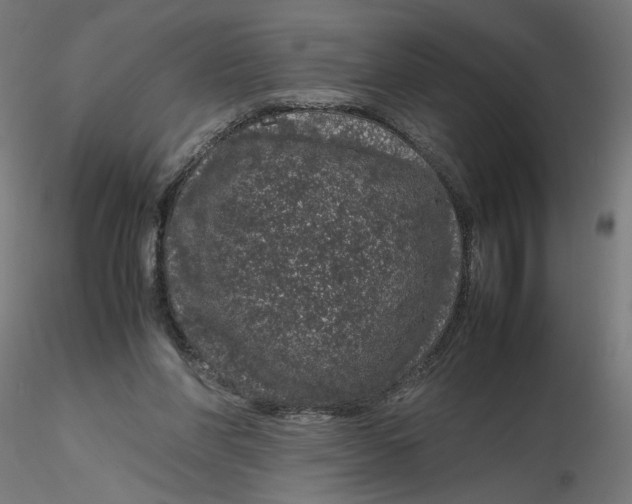 X0000116100206200912211618