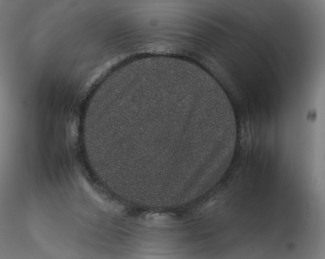 X0000116100208200912211618