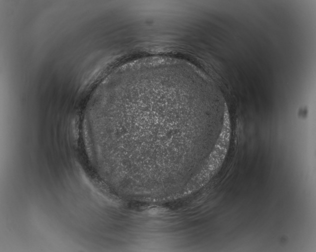 X0000116100210200912211618