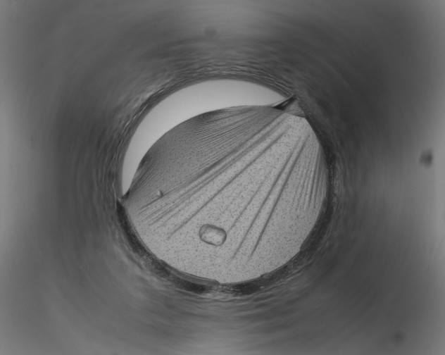 X0000116100211200912211618