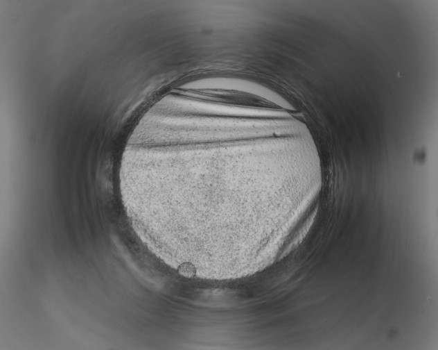 X0000116100212200912211618