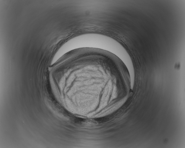 X0000116100215200912211618