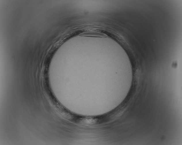 X0000116100217200912211618