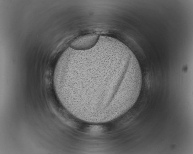 X0000116100218200912211618