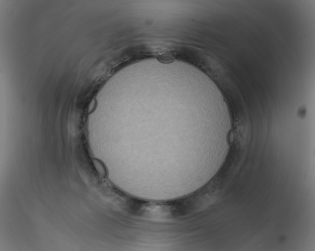 X0000116100221200912211618