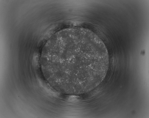 X0000116100222200912211618