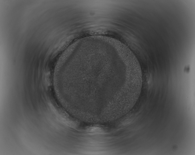 X0000116100224200912211618