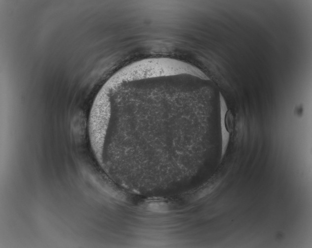 X0000116100228200912211618