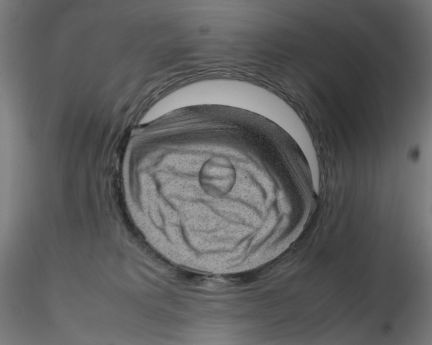 X0000116100229200912211618