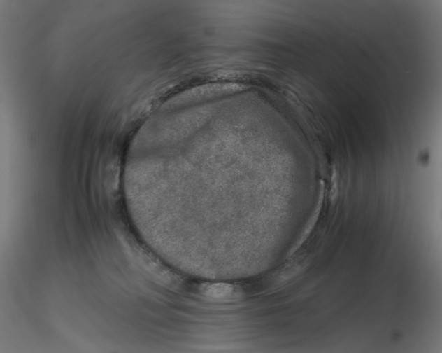 X0000116100230200912211618