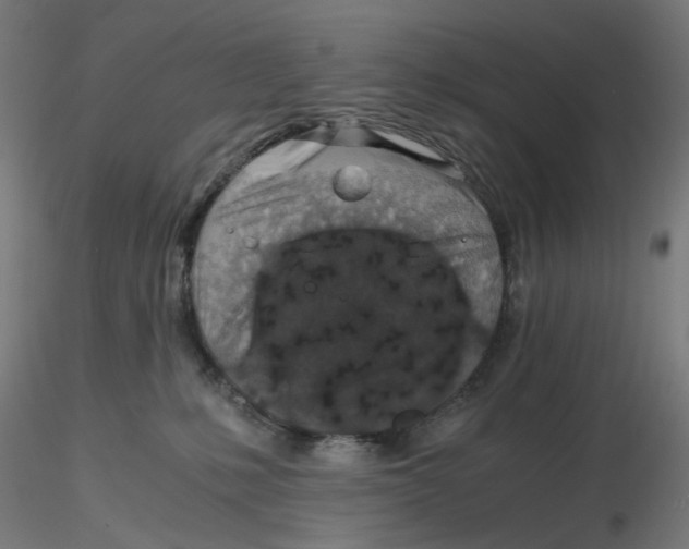 X0000116100231200912211618