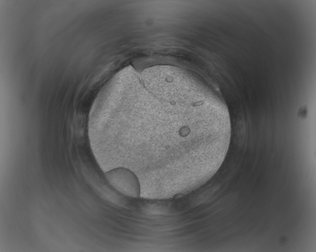 X0000116100232200912211618