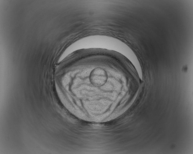 X0000116100233200912211618