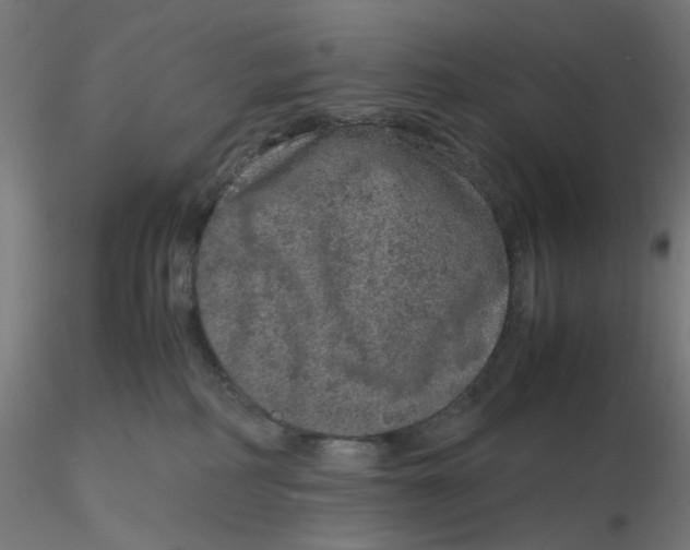 X0000116100234200912211618