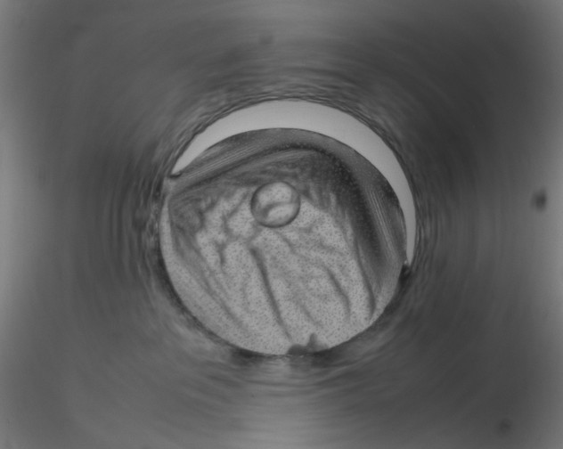 X0000116100237200912211618