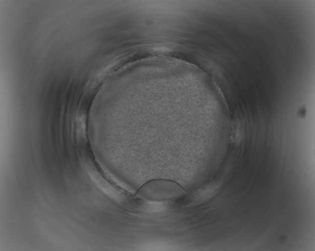 X0000116100238200912211618