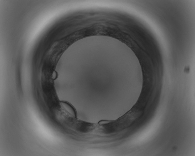 X0000116100239200912211618