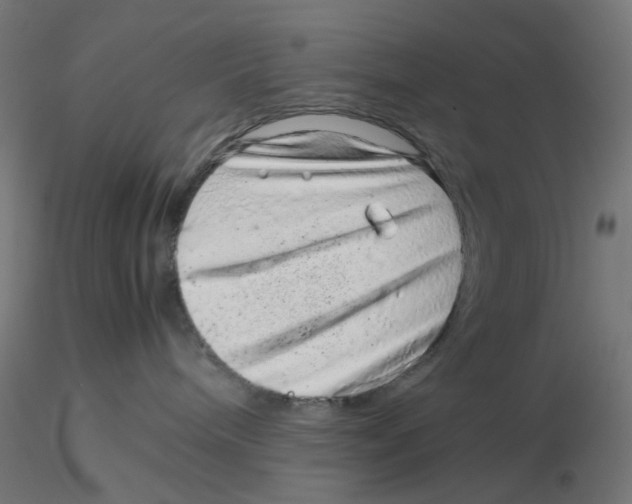 X0000116100240200912211618