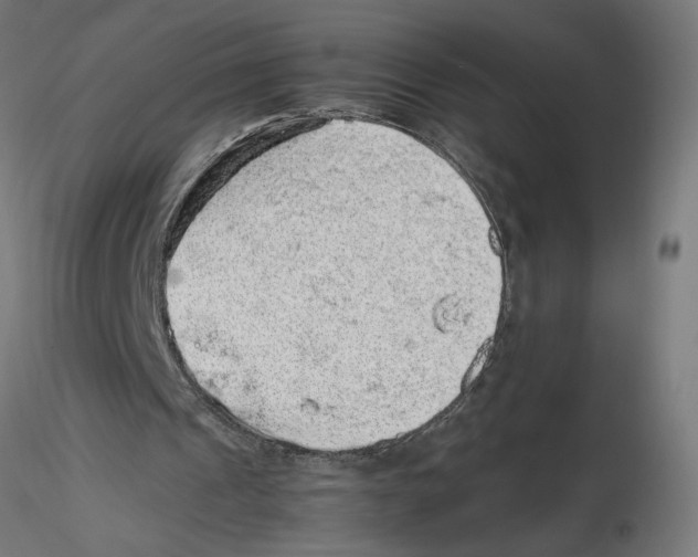 X0000116100241200912211617