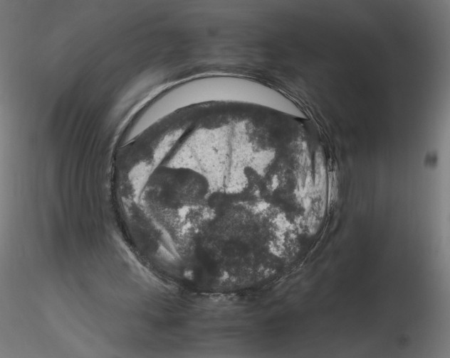 X0000116100243200912211617