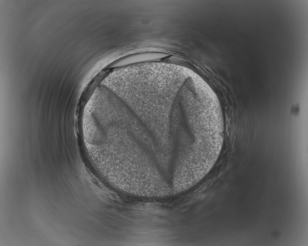 X0000116100244200912211617