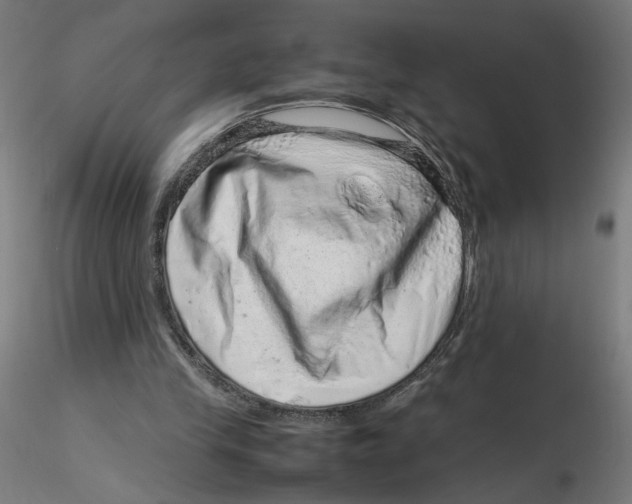 X0000116100245200912211617