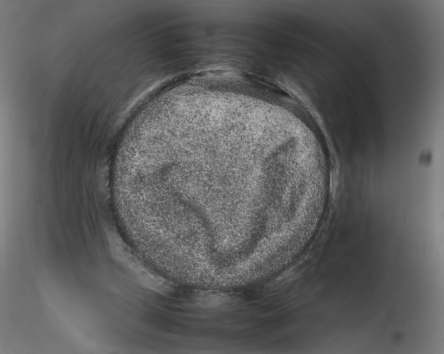 X0000116100249200912211617