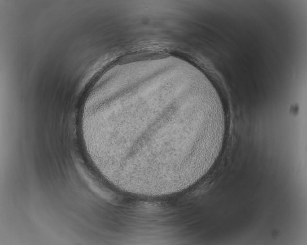 X0000116100250200912211617