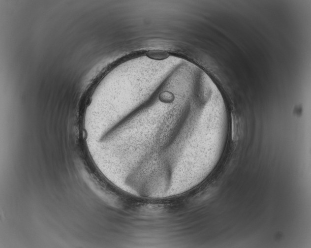 X0000116100252200912211617