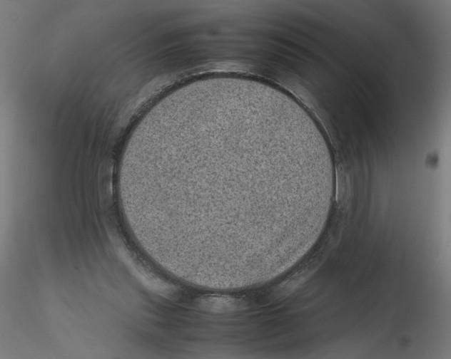 X0000116100253200912211617