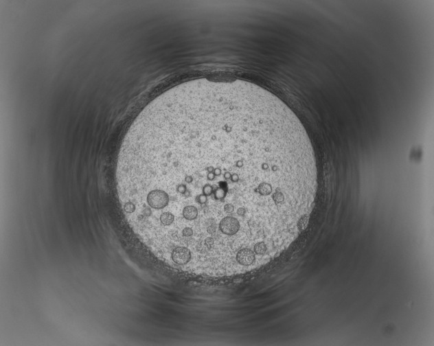 X0000116100255200912211617