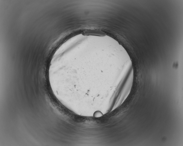 X0000116100256200912211617