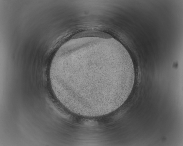 X0000116100258200912211617